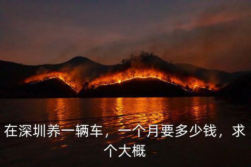 深圳柯基一個月多少錢,一個月要多少錢