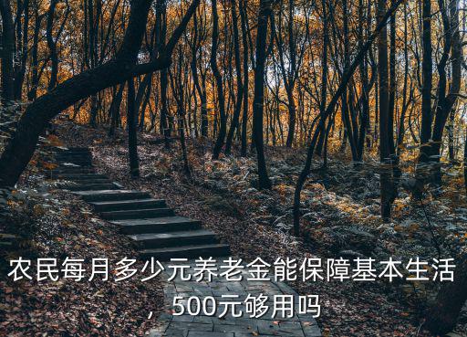 農民每月多少元養老金能保障基本生活，500元夠用嗎