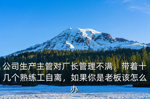 公司生產主管對廠長管理不滿，帶著十幾個熟練工自離，如果你是老板該怎么辦