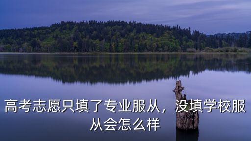 浙江高考志愿要填多少個,高考志愿只填了專業服從
