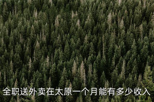 廣州送外賣一年能掙多少錢,晚上送外賣一天能賺多少錢