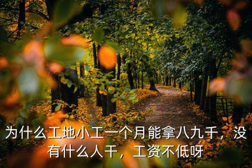 為什么工地小工一個(gè)月能拿八九千，沒有什么人干，工資不低呀