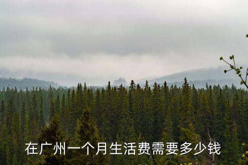 在廣州一個(gè)月生活費(fèi)需要多少錢