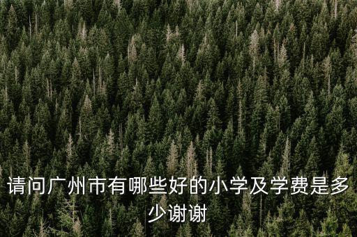 廣州民辦小學2018學費多少,在廣州上私立小學要多少學費