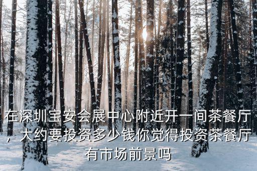 在深圳寶安會(huì)展中心附近開一間茶餐廳，大約要投資多少錢你覺(jué)得投資茶餐廳有市場(chǎng)前景嗎