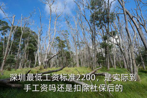 深圳的社保最低工資多少,還是扣除社保后的