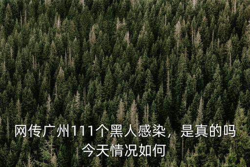 廣州外國人感染多少人,網傳廣州111個黑人感染