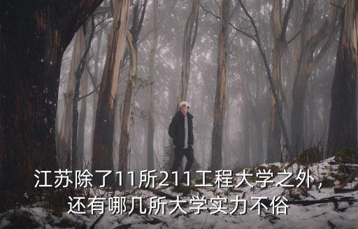 江蘇除了11所211工程大學之外，還有哪幾所大學實力不俗