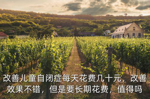 改善兒童自閉癥每天花費幾十元，改善效果不錯，但是要長期花費，值得嗎