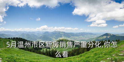 19年上半年溫州銷售多少房子,2019年上半年