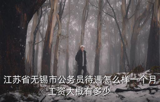 無錫市公務(wù)員的平均工資是多少,無錫的平均工資水平是多少