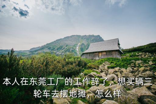 本人在東莞工廠的工作辭了，想買輛三輪車去擺地攤，怎么樣