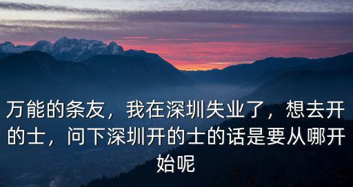 深圳有多少種比亞迪的的士,為什么深圳比亞迪的車這么多
