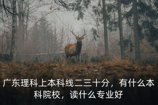 廣東多少分的本科,廣東理科上本科線二三十分