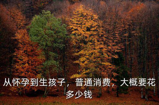 連云港二院生孩子大概多少錢,大概要花多少錢