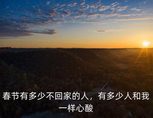春節有多少不回家的人，有多少人和我一樣心酸