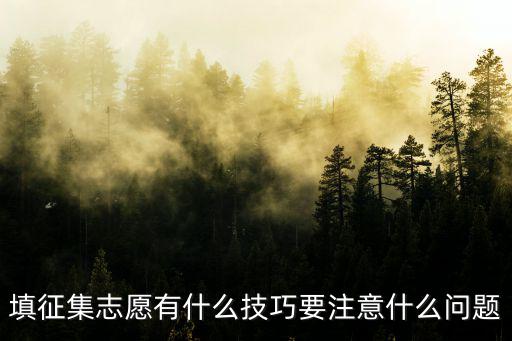 填征集志愿有什么技巧要注意什么問題
