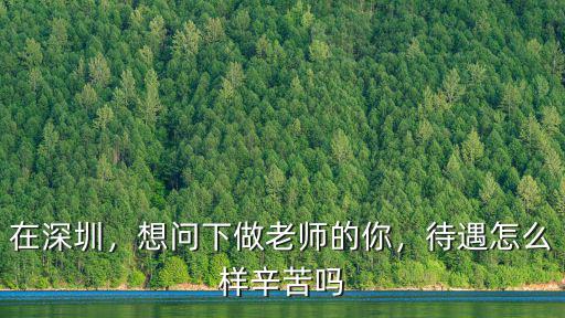 在深圳，想問下做老師的你，待遇怎么樣辛苦嗎