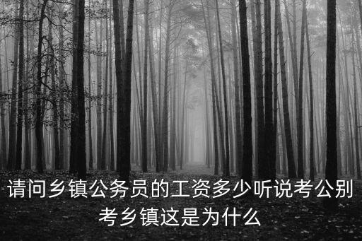 汕尾市鄉(xiāng)鎮(zhèn)公務(wù)員工資多少,請(qǐng)問(wèn)鄉(xiāng)鎮(zhèn)公務(wù)員的工資多少