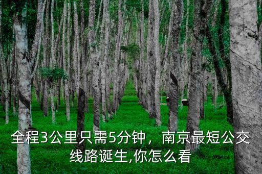 南京公交521路全程多少公里,全程3公里只需5分鐘