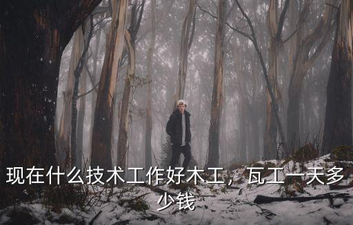 現在什么技術工作好木工，瓦工一天多少錢