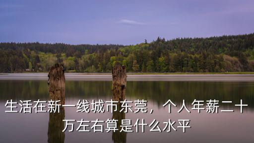 東莞生活需要多少薪水,東莞月入多少才夠活