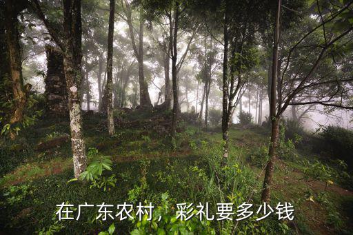 在廣東農村，彩禮要多少錢