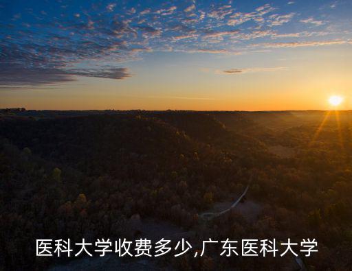 廣東醫科大學收費多少,廣東醫科大學