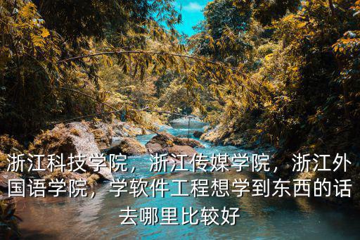 浙江科技學(xué)院，浙江傳媒學(xué)院，浙江外國語學(xué)院，學(xué)軟件工程想學(xué)到東西的話去哪里比較好