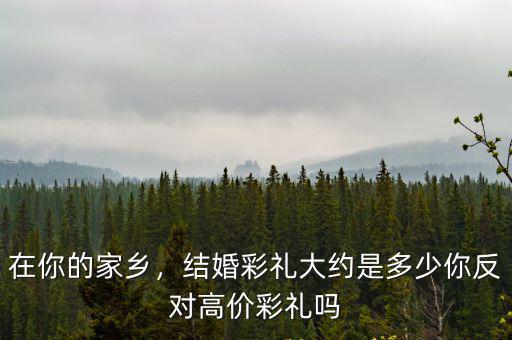 廣州戶口結婚彩禮多少,你反對高價彩禮嗎