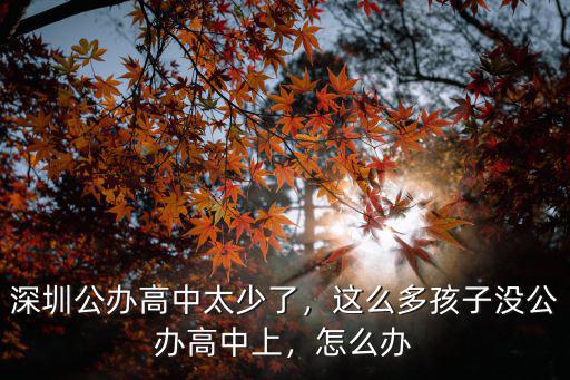 深圳總共有多少公辦高中,深圳公辦高中太少了
