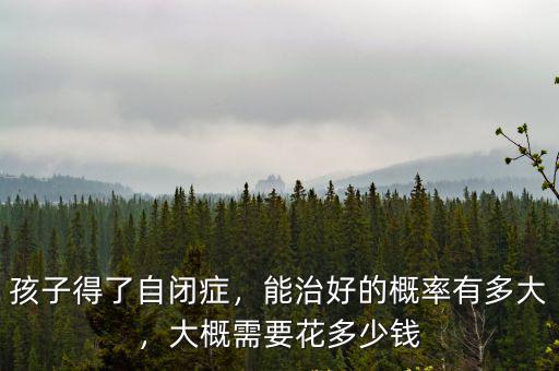孩子得了自閉癥，能治好的概率有多大，大概需要花多少錢