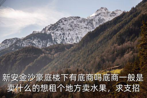 新安金沙豪庭樓下有底商嗎底商一般是賣什么的想租個地方賣水果，求支招