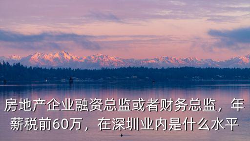 房地產企業融資總監或者財務總監，年薪稅前60萬，在深圳業內是什么水平
