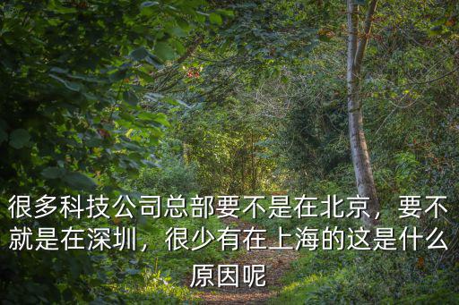 很多科技公司總部要不是在北京，要不就是在深圳，很少有在上海的這是什么原因呢