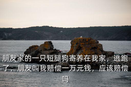 廣州寄養(yǎng)狗多少錢一只,寄存一天寵物狗狗需要多少錢