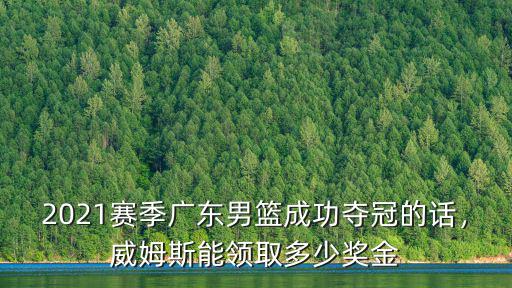 廣東宏遠奪冠獎金是多少,廣東宏遠奪冠
