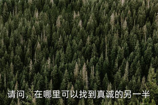 請問，在哪里可以找到真誠的另一半
