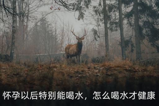 懷孕以后特別能喝水，怎么喝水才健康