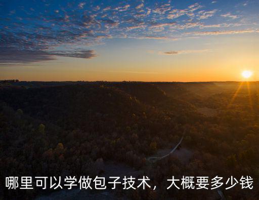 揚(yáng)州學(xué)包子要多少錢,包子技術(shù)培訓(xùn)多少錢