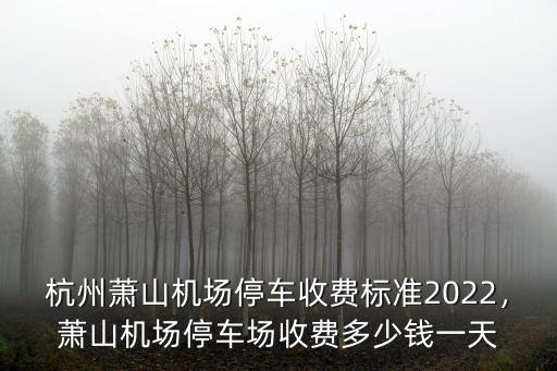 杭州蕭山機場停車多少錢一個月,杭州機場停車一天多少錢