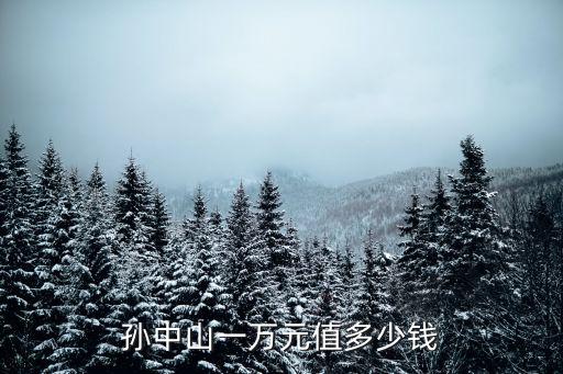 孫中山一萬元值多少錢