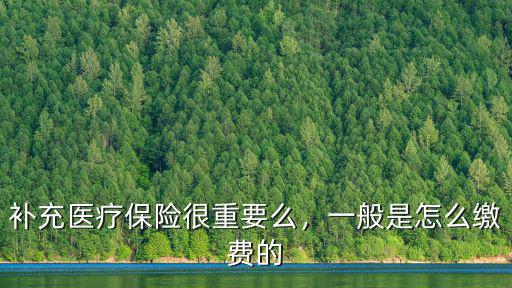 云浮醫療保險怎么補充,補充醫療保險很重要么