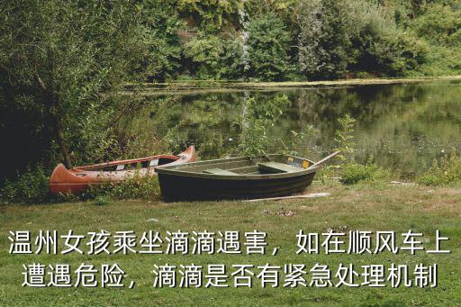 溫州滴滴遇害女孩陪多少錢,溫州女孩乘坐滴滴遇害