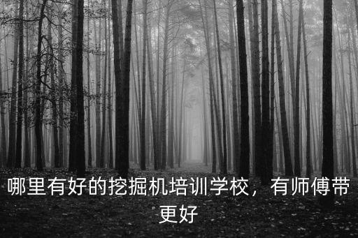 廣東茂名哪里有挖掘機(jī)培訓(xùn),哪里有好的挖掘機(jī)培訓(xùn)學(xué)校