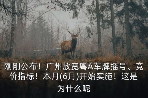 廣州競拍車牌6月增加了多少數(shù)量,廣州六月的車牌競價多少合適