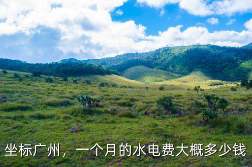 坐標(biāo)廣州，一個(gè)月的水電費(fèi)大概多少錢
