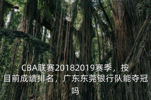 CBA聯賽20182019賽季，按目前成績排名，廣東東莞銀行隊能奪冠嗎