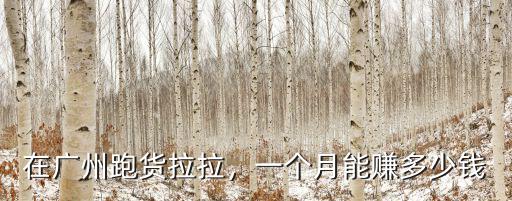 廣州的網(wǎng)約車每天能拉多少錢,在廣州跑貨拉拉