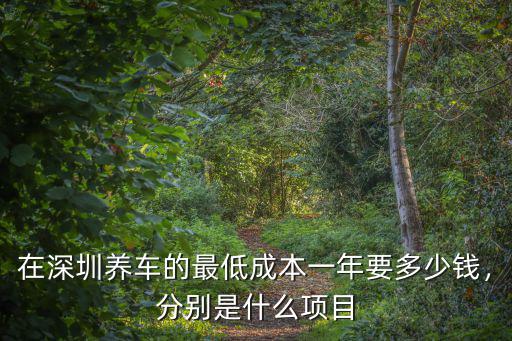 在深圳洗車一次多少錢,一個月要多少錢